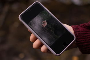 摄像手机排行榜2025，摄像手机排行榜前十名