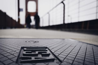 成都市人流量最大的地方,成都人流量排行榜2025年