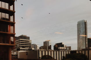 2025总部大楼排行榜，总部大楼概念