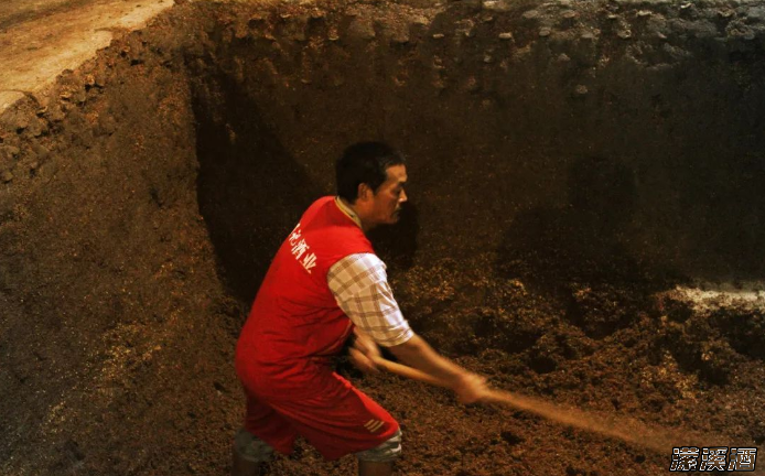 千年老窖万年糟是什么意思？