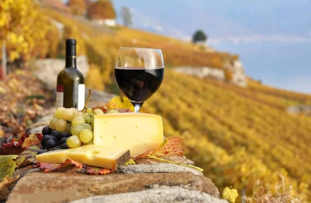 秋季养生，为何推荐适当喝点葡萄酒？