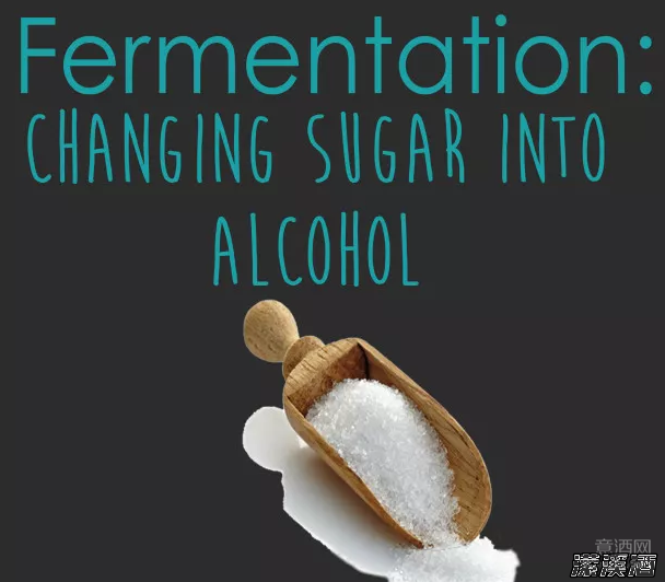 葡萄酒糖分越高，酒精度就越低？