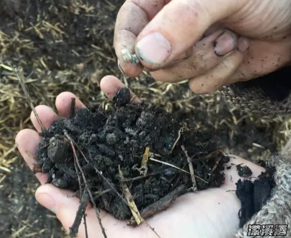 生物动力法酿造的酒可以喝吗？但也许你已经喝过了......