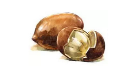 尖尖的茶叶，尖尖的茶叶浮上来的