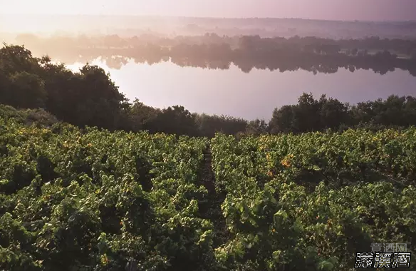 品丽珠的“情史”