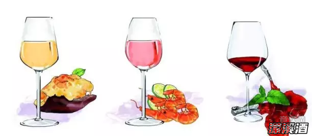 给我十分钟，让你从小白成为一个稍微懂酒的爱好者