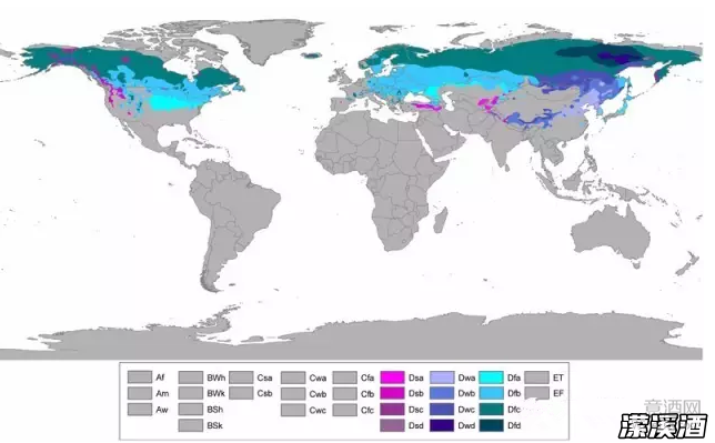 内陆地区的葡萄酒是怎样的