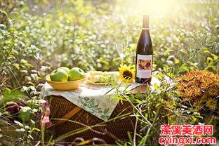 自己做葡萄酒发酵几天，自己做葡萄酒