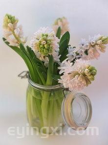 宏图烟标，宏图真假烟