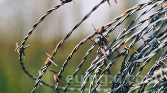 详细阅读:吴裕泰茶叶礼盒推荐,吴裕泰茶叶礼盒 吴裕泰茶叶礼盒推荐,吴裕泰茶叶礼盒