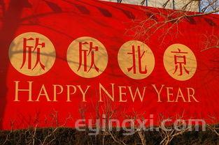 千年传承，匠心独运——揭秘中国白酒的精湛工艺