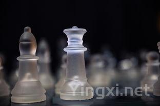 丽春是什么酒，丽春酒一瓶多少毫升