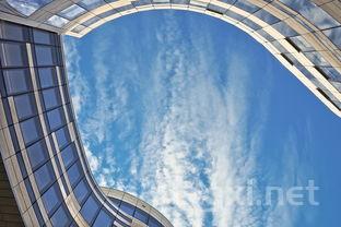 什么是洋河,什么是洋河观光旅游路