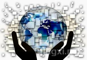 一张图带你认识内比奥罗