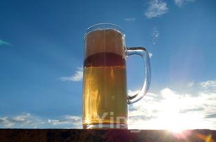 酒厂属于什么行业，酒厂属于个体还是公司