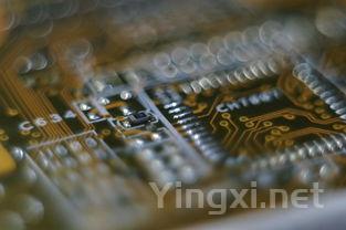 theone红酒，one什么红酒