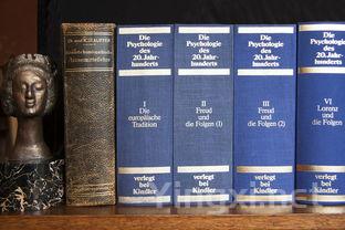 古法酿酒：岁月沉淀的醇香传奇