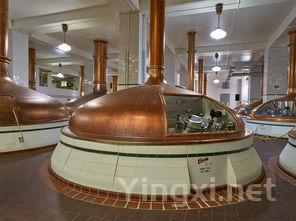 啤酒什么做的，啤酒用什么酿制