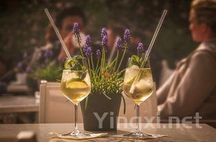 详细阅读:香槟花代表什么象征意义,香槟花是什么 香槟花代表什么象征意义,香槟花是什么