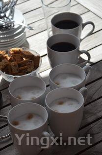 金观音茶叶图片，金观音茶青图片