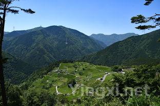 福建茶叶产地有哪些地方，福建茶叶产