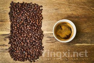 茶叶酶，茶叶酶活性被破坏的主要原因