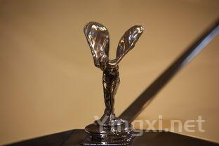 syrah是什么红酒，syrah红酒怎么样