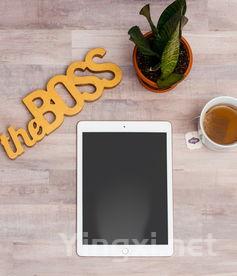 茶叶5克的量怎么把握，5磅的茶叶