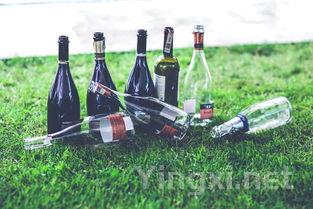 原野红酒，原初什么红酒