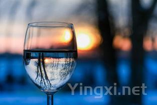 什么是丽春酒,丽春酒有几种