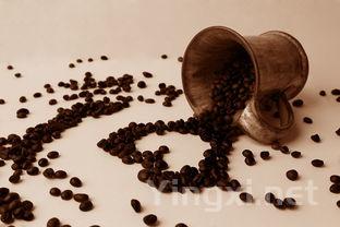 做饭为什么要放酒,做菜为什么要放酒