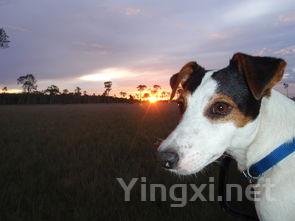 闷倒驴是什么意思，闷倒驴比喻什么意思