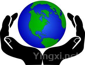 茶叶行业网站，茶叶门户网