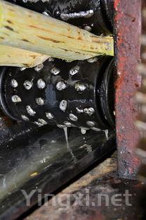 自流汁发酵，自流酒是什么