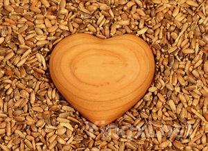 绍兴酒有什么作用，绍兴酒什么做的