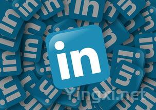 中国农业大学全国排名和最强专业解析