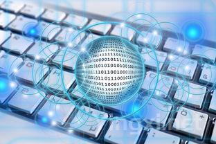 2024武汉纺织大学外经贸学院录取分数线:浙江最低413分