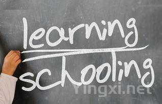 2024哈尔滨铁道职业技术学院录取分数线:浙江最低463分