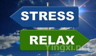 北京服装学院全国排名和最强专业解析