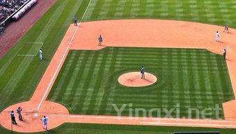 首都体育学院最厉害的专业-2024首都体育学院最好专业