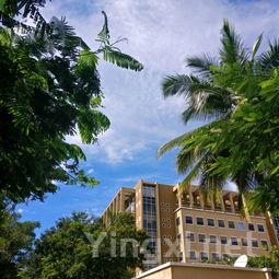 湖南城市学院好不好？附湖南城市学院最好的专业排名