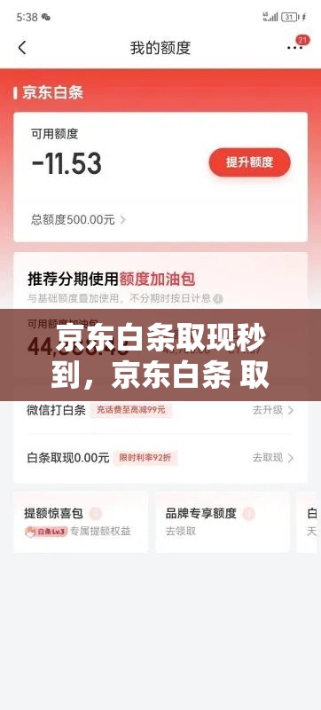 京东白条取现秒到,京东白条 取现