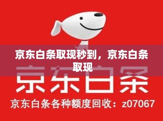 京东白条取现秒到,京东白条 取现