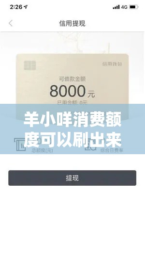 羊小咩消费额度可以刷出来吗，羊小咩消费额度套出来
