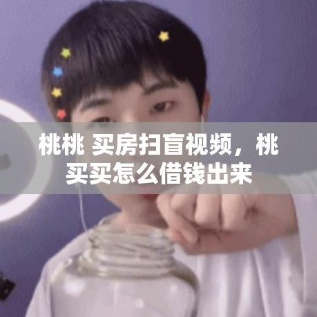 桃桃 买房扫盲视频,桃买买怎么借钱出来