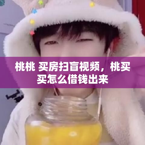 桃桃 买房扫盲视频,桃买买怎么借钱出来