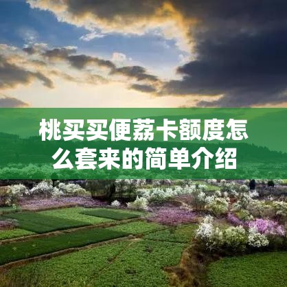 桃买买便荔卡额度怎么套来的简单介绍