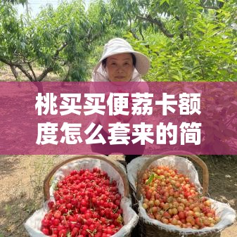 桃买买便荔卡额度怎么套来的简单介绍