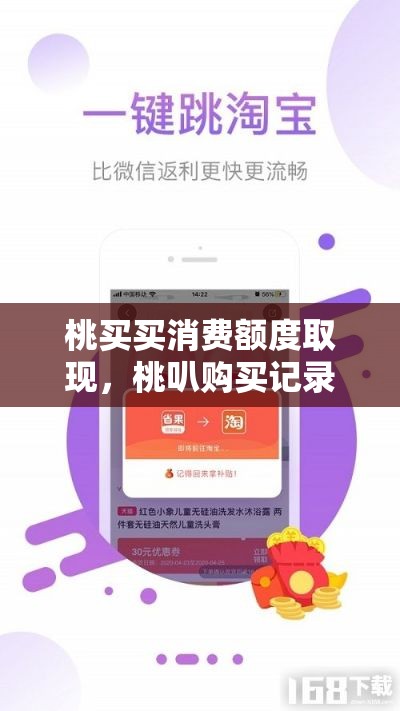 桃买买消费额度取现，桃叭购买记录怎么看