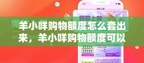 羊小咩购物额度怎么套出来，羊小咩购物额度可以套出来吗?